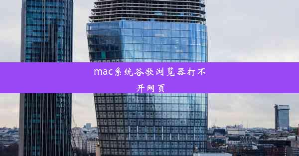 mac系统谷歌浏览器打不开网页