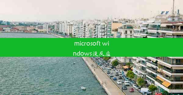 microsoft windows没反应