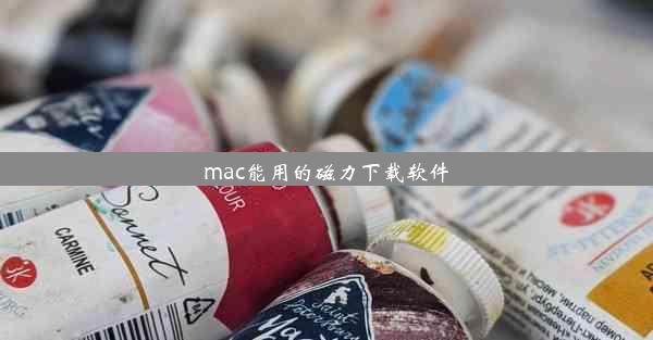 mac能用的磁力下载软件