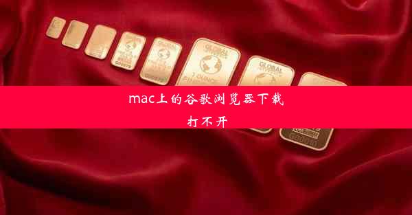 mac上的谷歌浏览器下载打不开