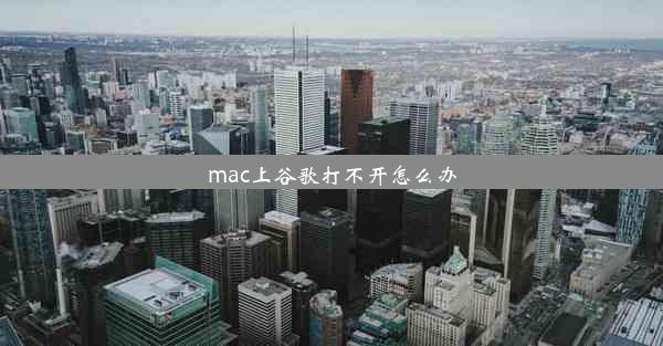 mac上谷歌打不开怎么办