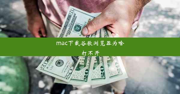 mac下载谷歌浏览器为啥打不开