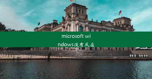 microsoft windows没有反应