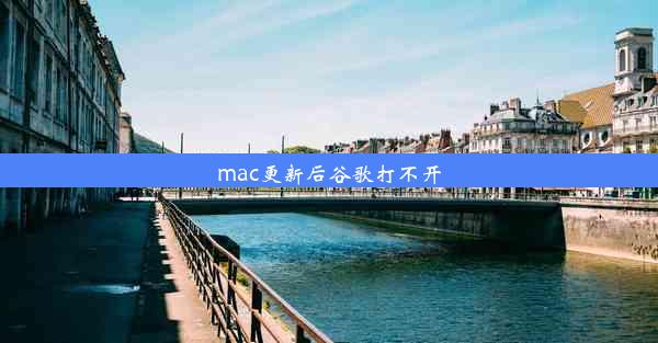 mac更新后谷歌打不开