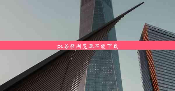 pc谷歌浏览器不能下载