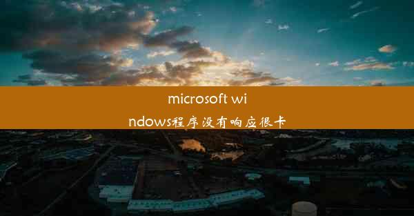 microsoft windows程序没有响应很卡