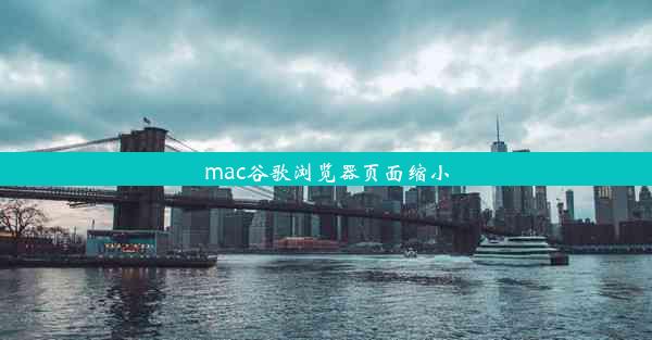 mac谷歌浏览器页面缩小