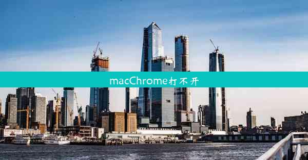 macChrome打不开