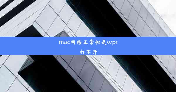 mac网络正常但是wps打不开