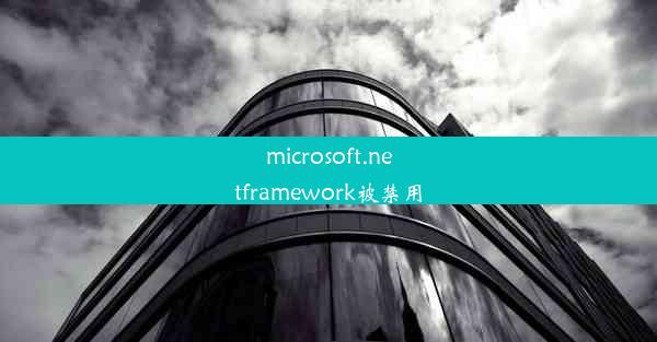 microsoft.netframework被禁用