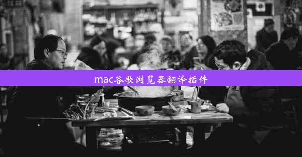 mac谷歌浏览器翻译插件