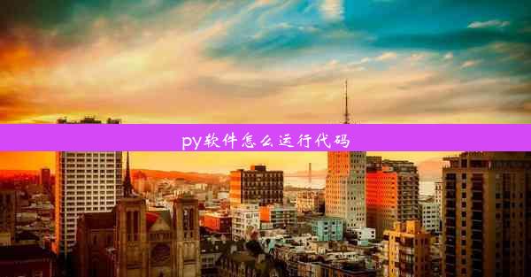 py软件怎么运行代码