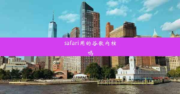 safari用的谷歌内核吗