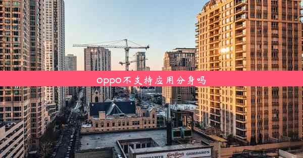 oppo不支持应用分身吗