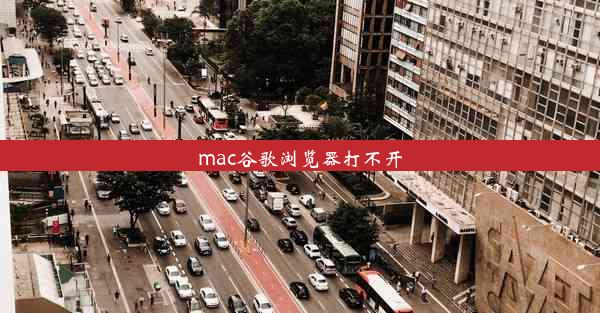 mac谷歌浏览器打不开