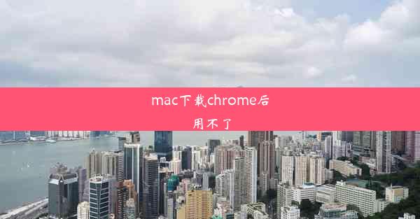 mac下载chrome后用不了