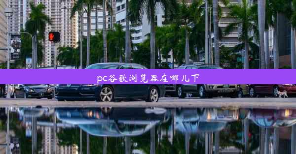 pc谷歌浏览器在哪儿下