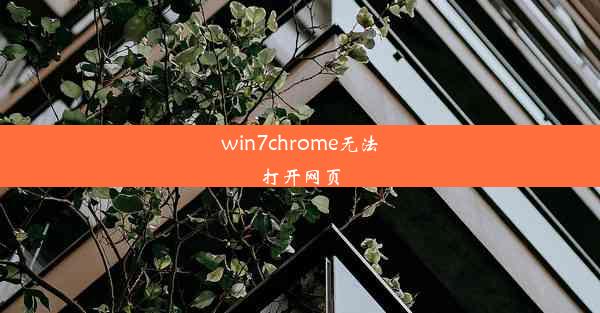 win7chrome无法打开网页