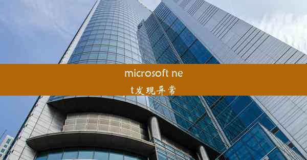 microsoft net发现异常