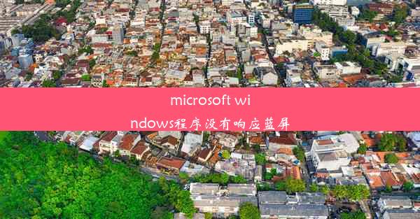 microsoft windows程序没有响应蓝屏