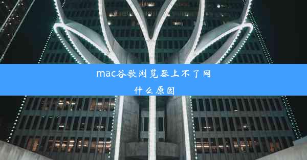 mac谷歌浏览器上不了网什么原因