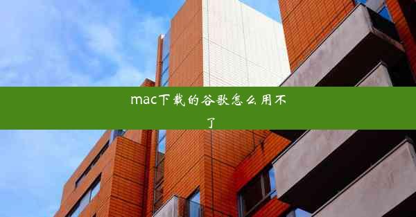 mac下载的谷歌怎么用不了