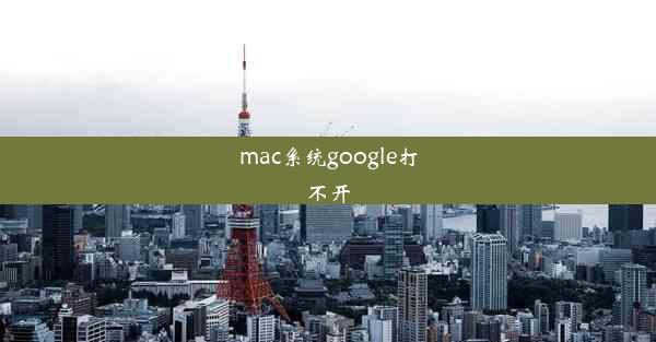 mac系统google打不开