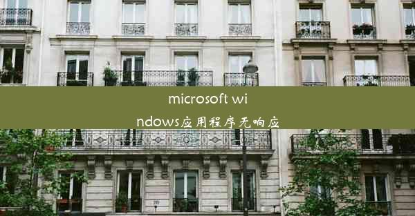 microsoft windows应用程序无响应