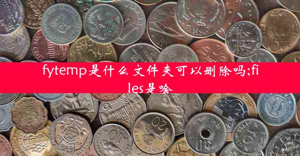 fytemp是什么文件夹可以删除吗;files是啥