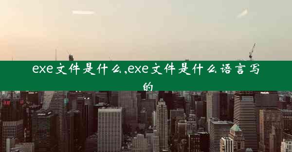 exe文件是什么,exe文件是什么语言写的