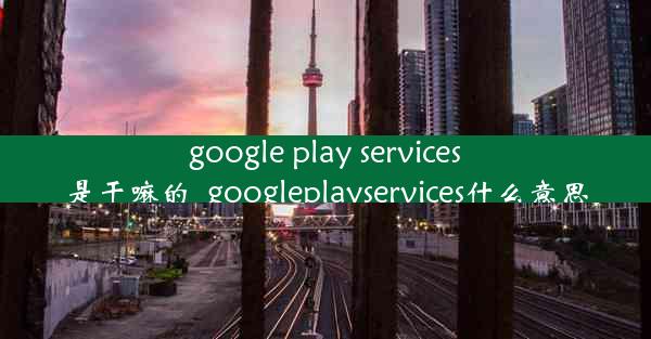 google play services是干嘛的_googleplayservices什么意思