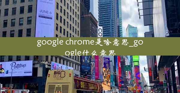 google chrome是啥意思_google什么意思