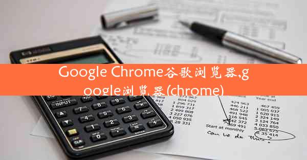 Google Chrome谷歌浏览器,google浏览器(chrome)