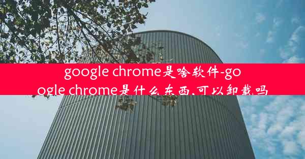 google chrome是啥软件-google chrome是什么东西,可以卸载吗