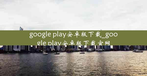 google play安卓版下载_google play安卓版下载官网