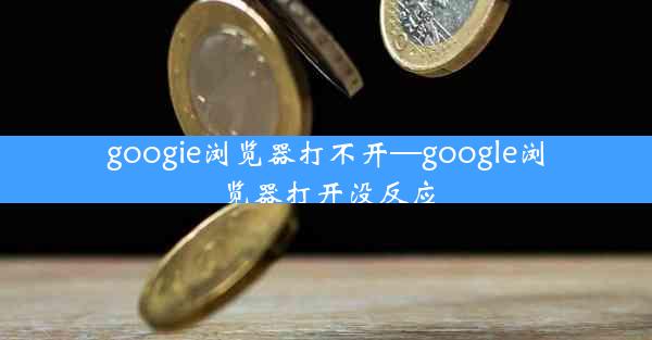 googie浏览器打不开—google浏览器打开没反应