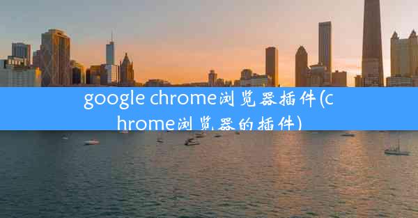 google chrome浏览器插件(chrome浏览器的插件)