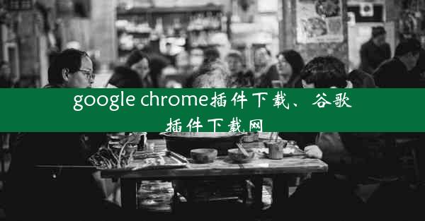 google chrome插件下载、谷歌插件下载网