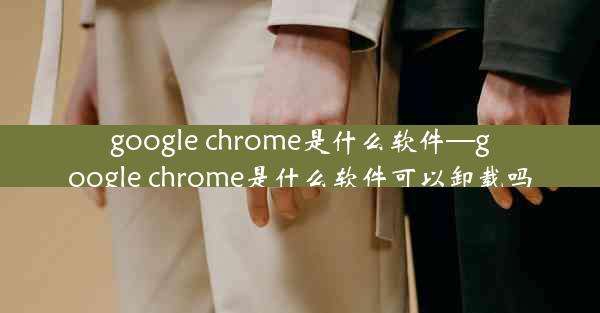 google chrome是什么软件—google chrome是什么软件可以卸载吗