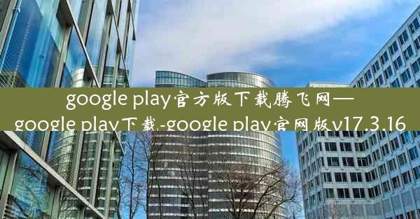 google play官方版下载腾飞网—google play下载-google play官网版v17.3.16