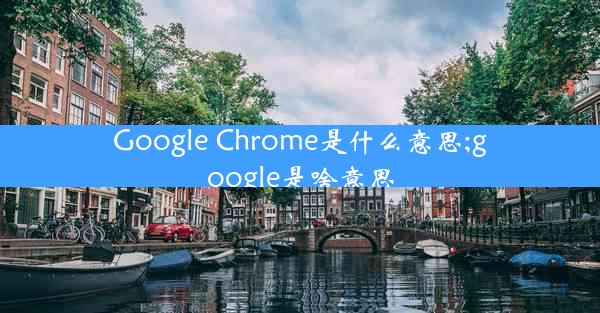 Google Chrome是什么意思;google是啥意思