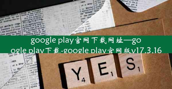 google play官网下载网址—google play下载-google play官网版v17.3.16