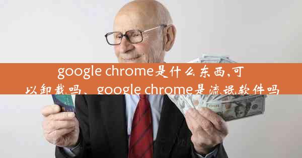 google chrome是什么东西,可以卸载吗、google chrome是流氓软件吗