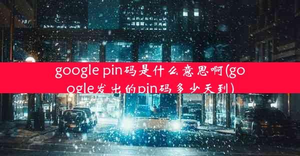 google pin码是什么意思啊(google发出的pin码多少天到)