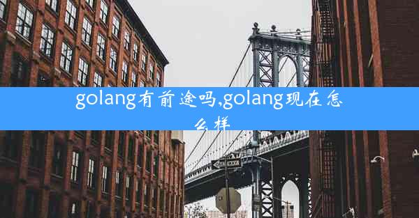 golang有前途吗,golang现在怎么样