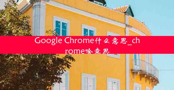 Google Chrome什么意思_chrome啥意思