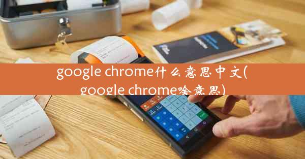 google chrome什么意思中文(google chrome啥意思)