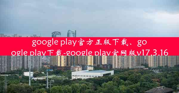 google play官方正版下载、google play下载-google play官网版v17.3.16